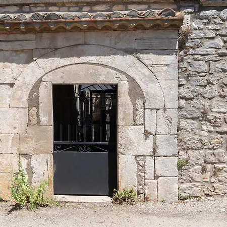 Micocoulier De La Marechale Orgnac-lʼAven